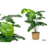 CESTO RATTAN PLANTA MONSTERA 60CM
