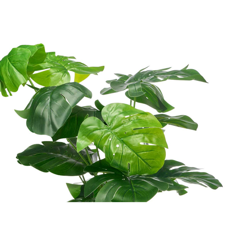 CESTO RATTAN PLANTA MONSTERA 60CM