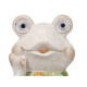 SOLAR RESIN FROG FIGURE