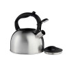 STEEL KETTLE 2,5L PLASTIC HANDLE