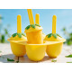 SET 4 LEMON ICE CREAM MOULD