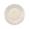 ASSIETTE PLATE PORCELAINE AILE 27CM