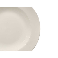 ASSIETTE CREUSE PORCELAINE AILE 24,5CM