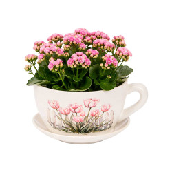 MACETERO CERAMICA TAZA PLATO VALLA FLORES
