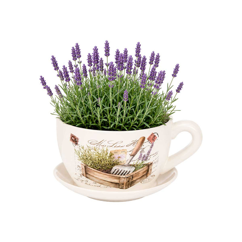 CERAMIC PLANTER CUP SAUCER LAVENDER GARDEN