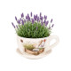 CERAMIC PLANTER CUP SAUCER LAVENDER GARDEN