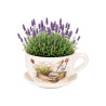 POT CÉRAMIQUE TASSE ASSIETTE JARDIN LAVANDE
