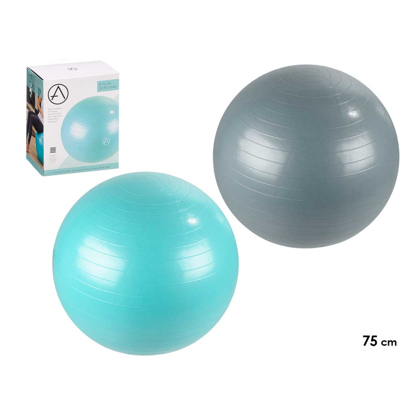 FITNESS BALL 75CM ASS 2 COL