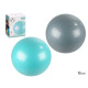 BALON DE FITNESS 75CM SURT 2 COL