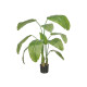 PIANTA FOGLIA BANANO VASO 160 CM