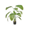 PLANTA FOLHA BANANEIRA VASO 160 CM