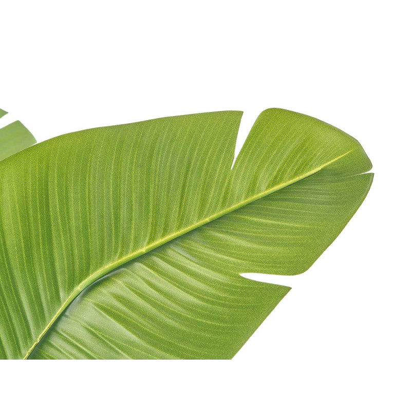 160 CM POTTED BANANA LEAF PLANT