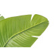 PLANTA FOLHA BANANEIRA VASO 160 CM