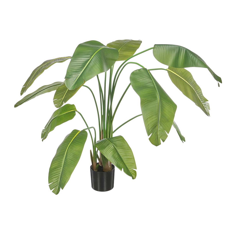 180 CM POTTED BANANA LEAF PLANT