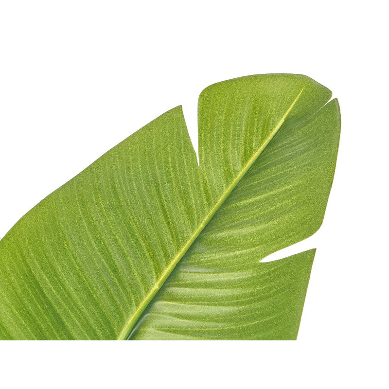 180 CM POTTED BANANA LEAF PLANT