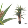 PIANTA VASO FOGLIA LUNGA TRE STELI 120 CM