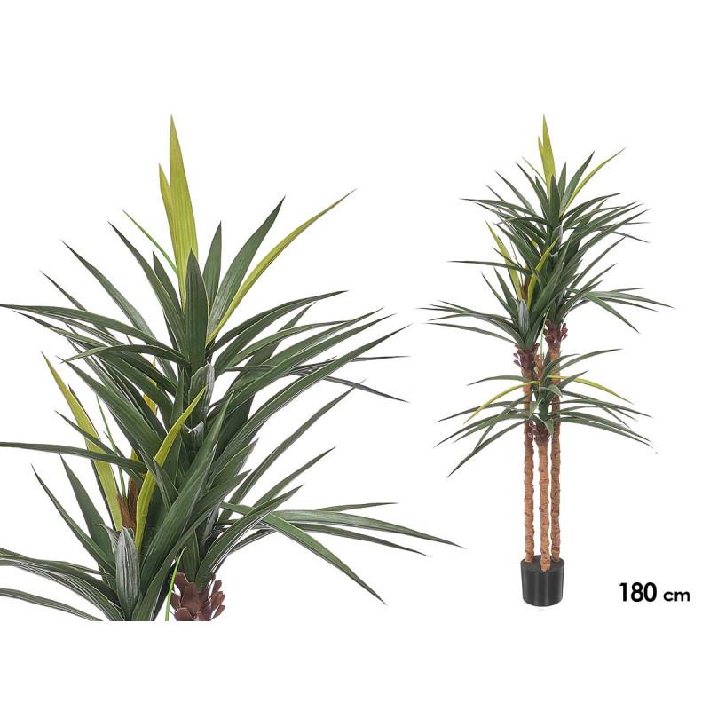180 CM THREE STEM LONG LEAF POTTED PLANT