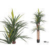 180 CM THREE STEM LONG LEAF POTTED PLANT