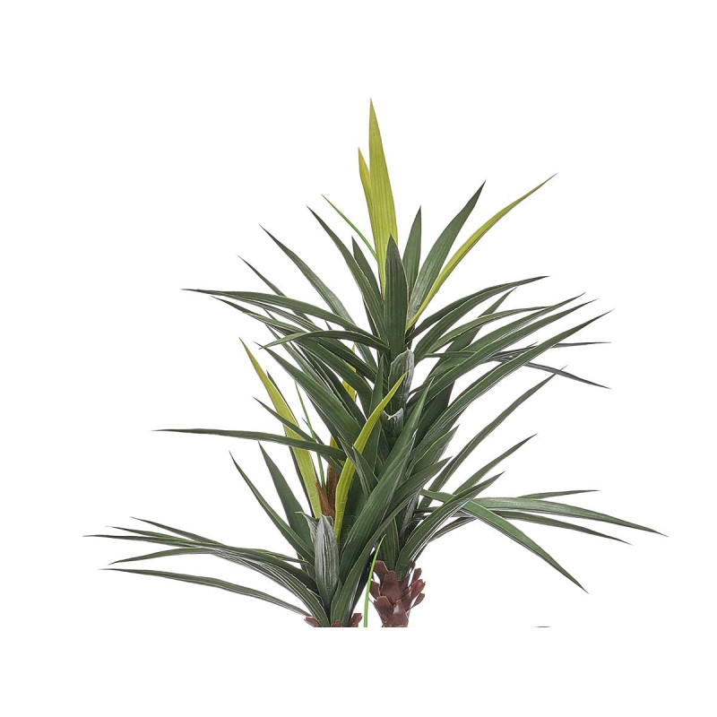 PLANTA VASO 180 CM TRÊS CAULES FOLHA LONGA
