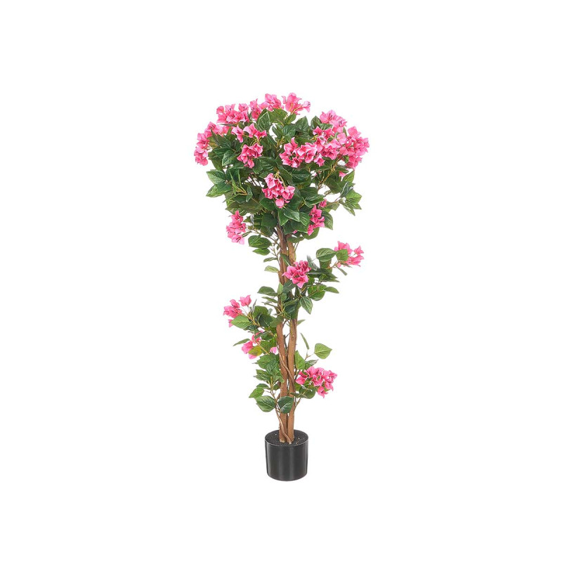 PLANTA VASO BOUGAINVILLEA 120 CM FUCSIA