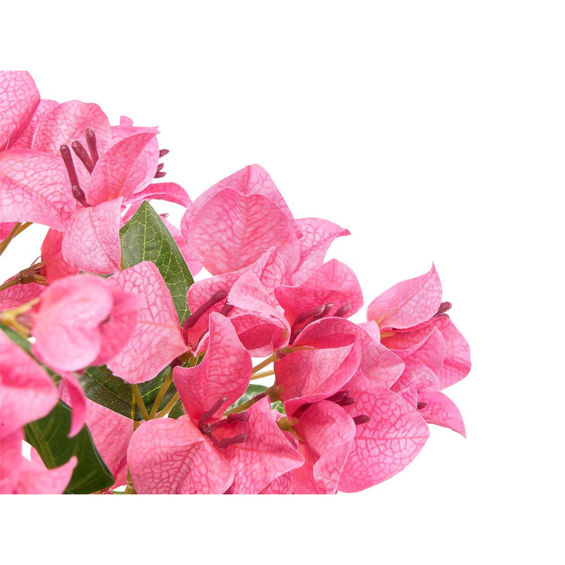 120 CM FUCHSIA BOUGAINVILLEA POTTED PLANT