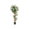 PLANTA BOUGAINVILLEA BRANCA 120 CM VASO