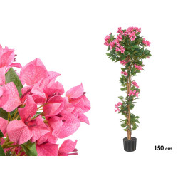150 CM FUCHSIA BOUGAINVILLEA POTTED PLANT