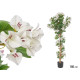150 CM WHITE BOUGAINVILLEA POTTED PLANT