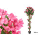 180 CM FUCHSIA BOUGAINVILLEA POTTED PLANT