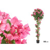 PLANTA BOUGAINVILLEA FÚCSIA VASO 180 CM