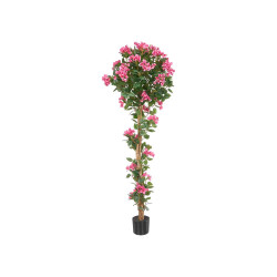 180 CM FUCHSIA BOUGAINVILLEA POTTED PLANT