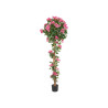 180 CM FUCHSIA BOUGAINVILLEA POTTED PLANT