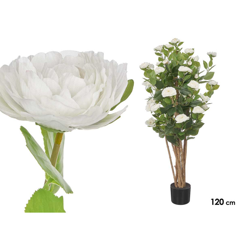 120 CM WHITE  ROSE POTTED PLANT