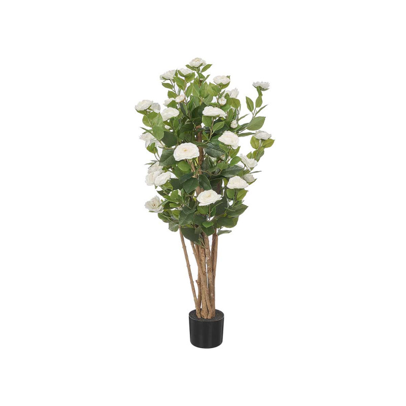 PIANTA VASO 120 CM ROSA BIANCA