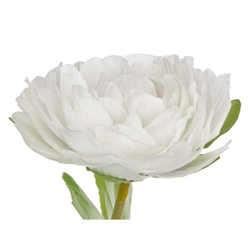 120 CM WHITE  ROSE POTTED PLANT