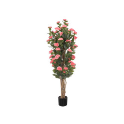 PIANTA VASO 150 CM ROSA FUCHSIA