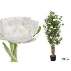 150 CM WHITE ROSE POTTED PLANT