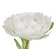 150 CM WHITE ROSE POTTED PLANT