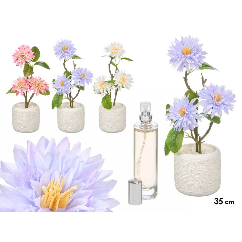 BIG PLANT AIR FRESHENER DALIA ASST 3 COL
