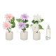 BIG PLANT AIR FRESHENER DALIA ASST 3 COLOURS