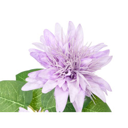 AMBIENTADOR PLANTA GRD DALIA SURT 3 COLORES