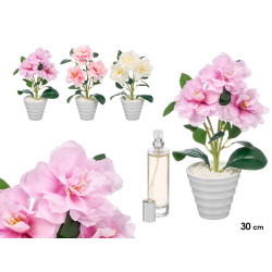 DEODORANTE AMBIENTI PIANTA CAMELIA MEDIA ASSORTITO
