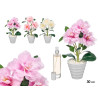 MED CAMELLIA PLANT AIR FRESHENER ASST 3 COLOURS