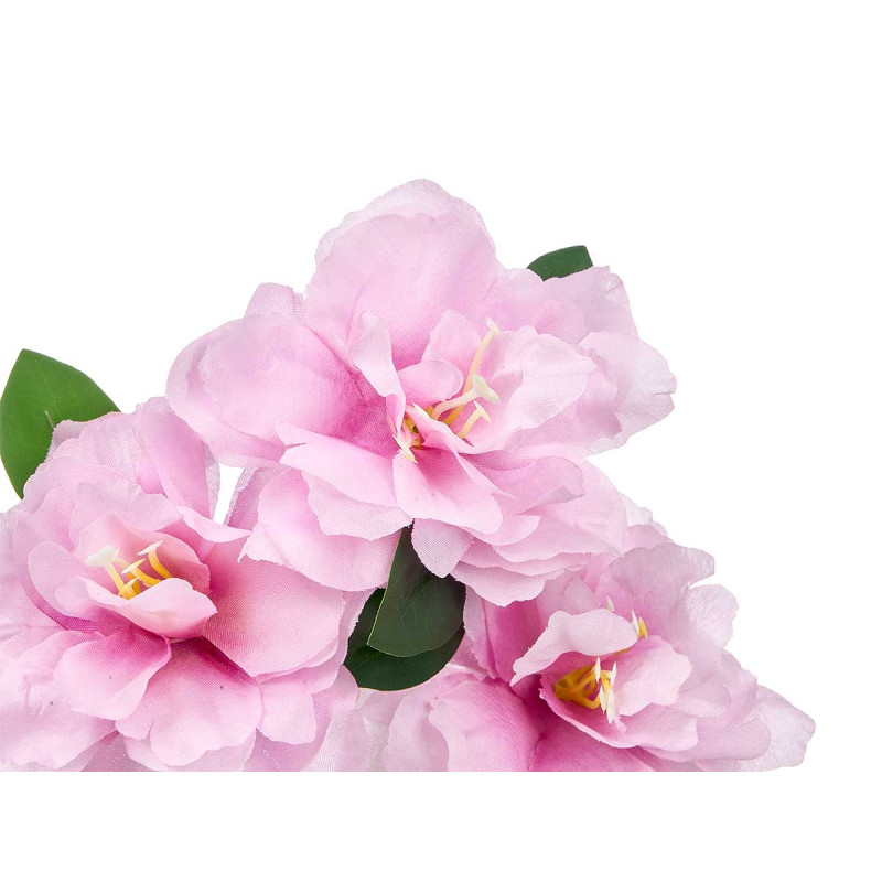 MED CAMELLIA PLANT AIR FRESHENER ASST 3 COLOURS