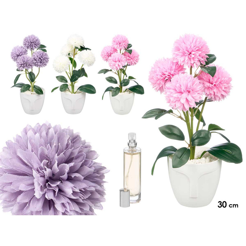MED CHRYSANTHEMUM PLANT AIR FRESHENER ASST 3 COL