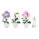 MED CHRYSANTHEMUM PLANT AIR FRESHENER ASST 3 COL