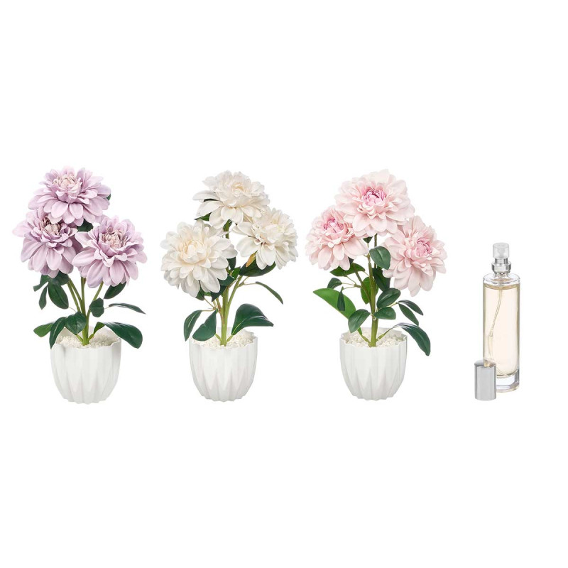 PLANT AIR FRESHENER BIG DALIA ASST 3 COL