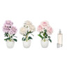 PLANT AIR FRESHENER BIG DALIA ASST 3 COL
