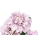 PLANT AIR FRESHENER BIG DALIA ASST 3 COL