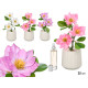 DEODORANTE PIANTA MAGNOLIA PICCOLA ASS 3 COL